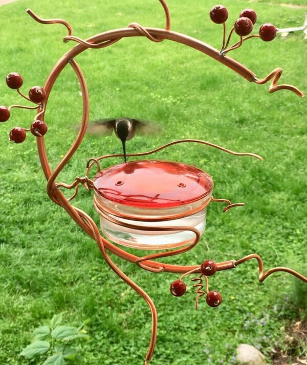 Red Berries Hummingbird Feeder - Image 4