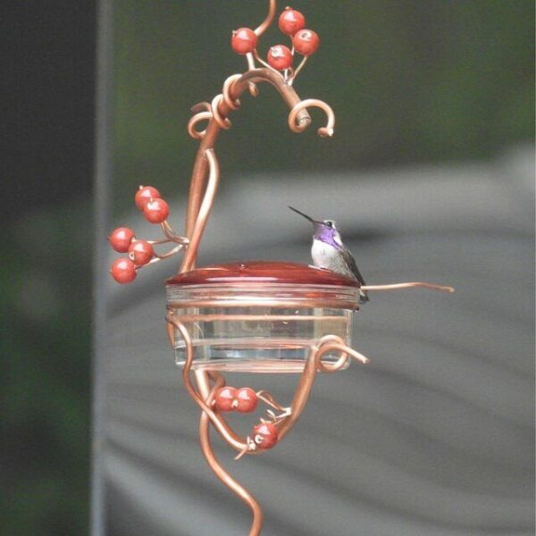 Red Berries Hummingbird Feeder - Image 3