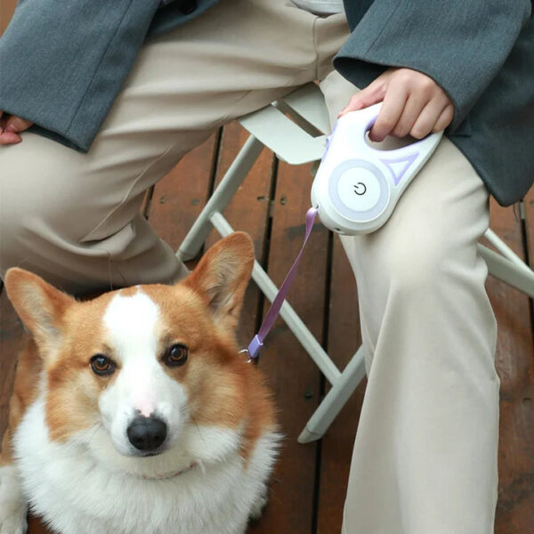 Retractable Dog Leash - Image 2