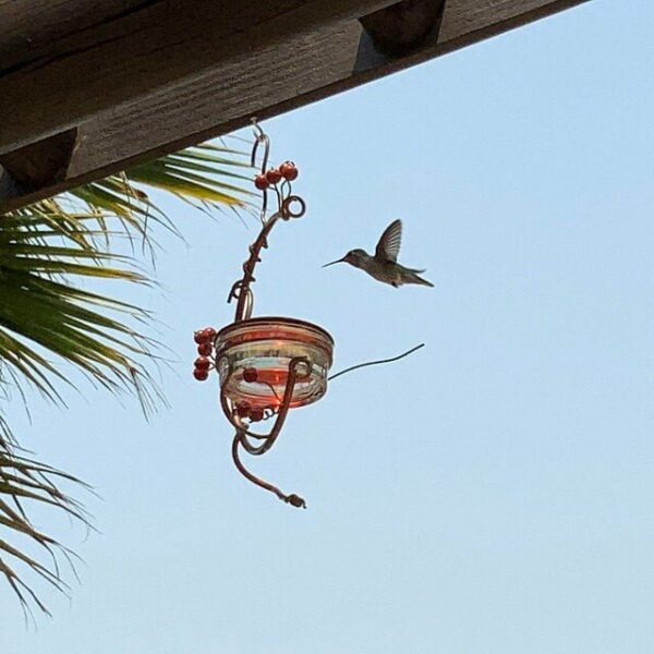 Red Berries Hummingbird Feeder - Image 5