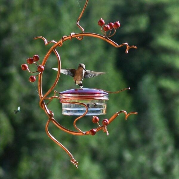 Red Berries Hummingbird Feeder - Image 2